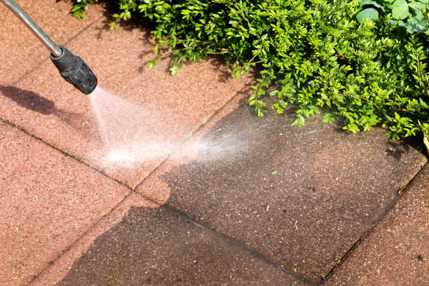 Best Power Washing Near Me  in Arapahoe, NE